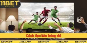 Cách đọc kèo bóng đá đang được nhiều người quan tâm tìm kiếm
