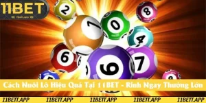 Cách Nuôi Lô Hiệu Quả Cùng 11BET - Đi Đến Đỉnh Cao Chiến Thắng