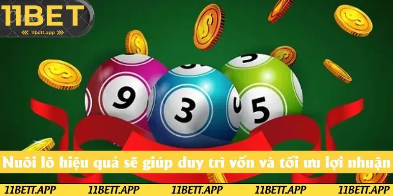 Cách nuôi lô hiệu quả sẽ giúp người chơi duy trì vốn và tối ưu hóa lợi nhuận thu về