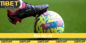 Kèo Nhà Cái: Yếu Tố Quan Trọng Của Cá Cược Bóng Đá