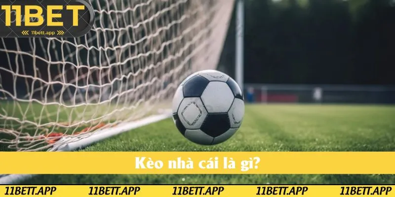 Khái niệm về kèo nhà cái mà ai cũng phải biết