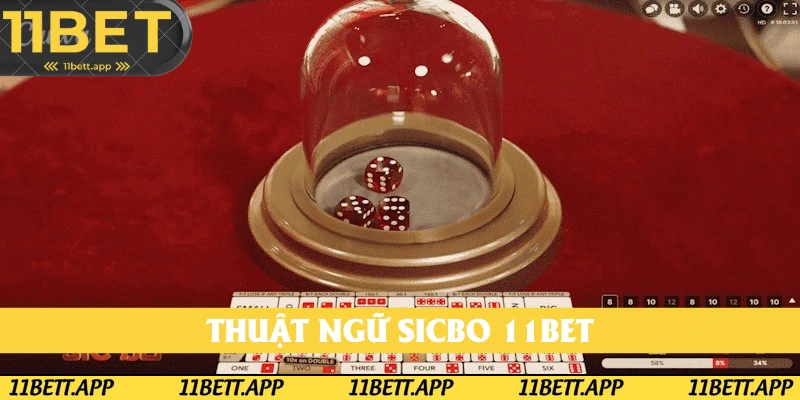 Những thuật ngữ khách hàng nên nắm bắt