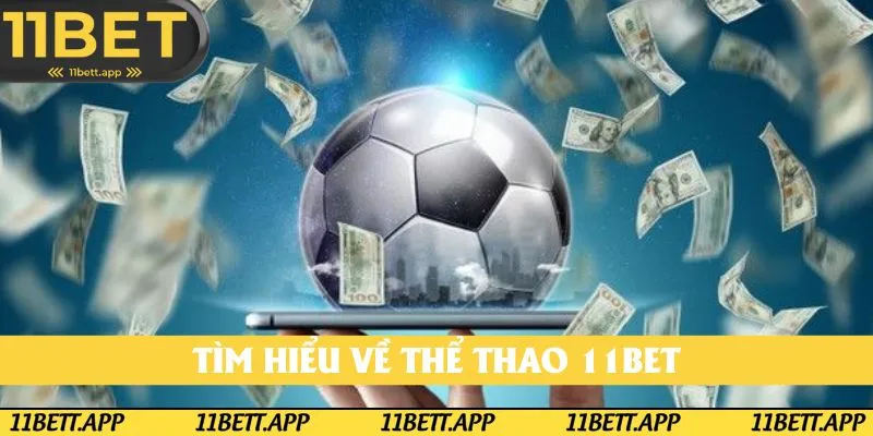 Tổng quan về thể thao 11bet
